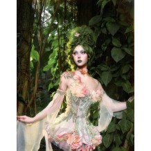 Blood Supply Fairy Lolita Corset Dress Set Forest Elf Floral Spirit Costume
