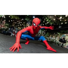 Spider man Brand New Day Peter Parker Cosplay Costume Top Level