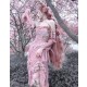 The Sakura Fairy Velvet Lace Dress
