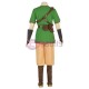 Link Cosplay Costumes The Legend of Zelda Skyward Sword Cosplay Suit