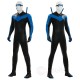 Comic Style Dick Grayson Blue Leather Cosplay Costume No Muscle Padding