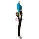 Princess Zelda Blue Costume The Legend of Zelda Breath of the Wild Cosplay Outfit