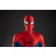 Spider-Man Brand New Day Cosplay Costume Elite Version & Fixed Eyes M2528P