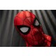 Spider-Man Brand New Day Cosplay Costume Elite Version & Fixed Eyes M2528P