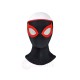 Spider-Man 2 Evolve Suit Spandex Cosplay Costume for Halloween or Birthday Gift