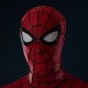Spider-Man Brand New Day Peter Parker Cosplay Costume with Mask Premium Edition