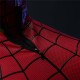 Spider-Man: Brand New Day Cosplay Costume Spiderman 4 Peter Parker Jumpsuit