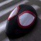 Across the Universe Miles Morales Spider-Man Cosplay Costume
