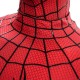 Spider-Man: Brand New Day Peter Parker Cosplay Costume Top Level