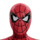 Spider-Man: Brand New Day Peter Parker Cosplay Costume Top Level