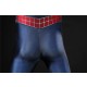 Spider-Man 2 Cosplay Costumes Tobey Maguire Suits Top Level