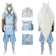The Legend of Zelda Tears of the Kingdom link Mystic Set Cosplay Suits