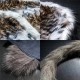 Black Myth: Wukong Cosplay Costumes Wukong Tiger Skin Suit