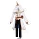 Princess Zelda Winter Cosplay Costume Game Outfit from The Legend of Zelda