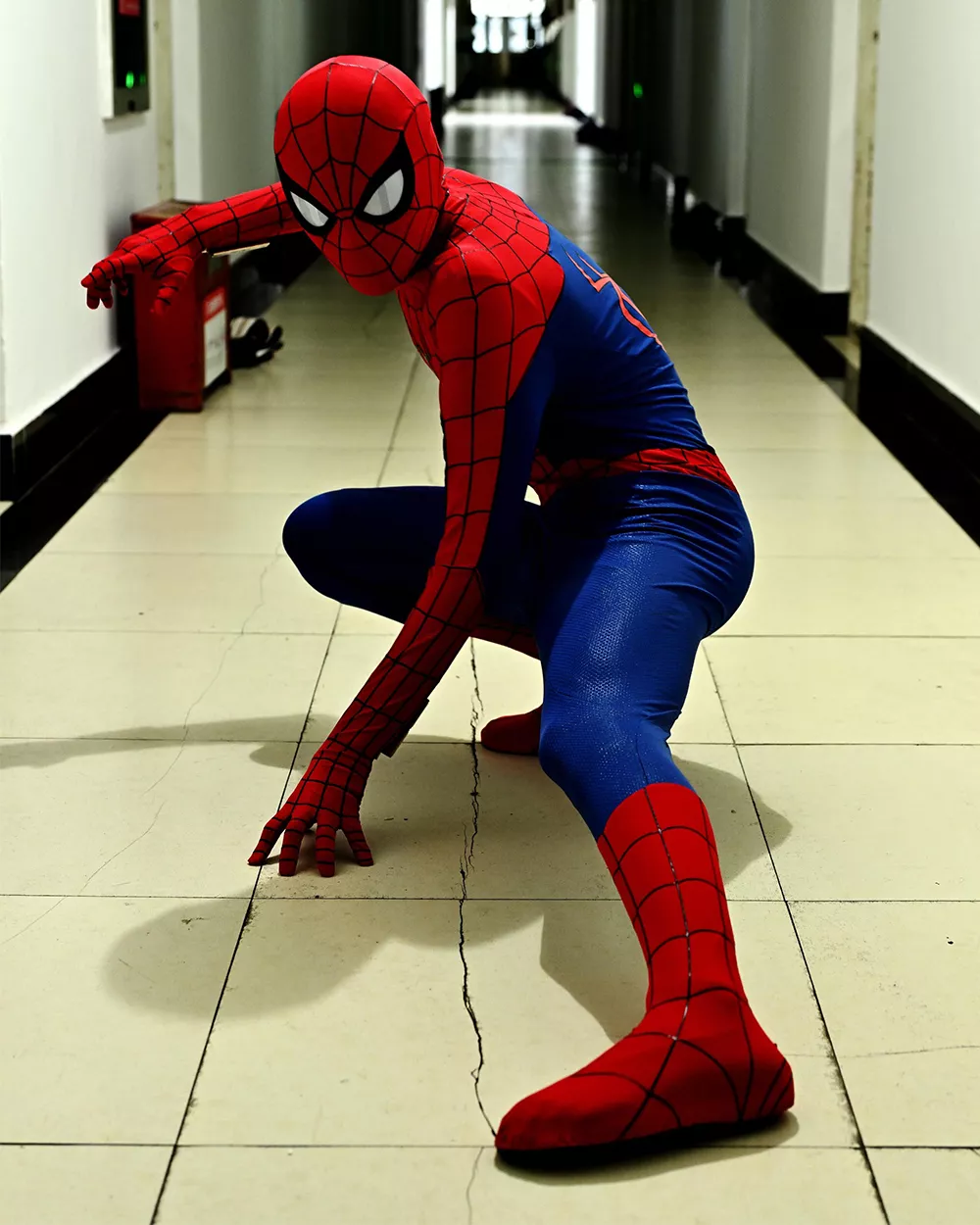 Spider-Man Top Level